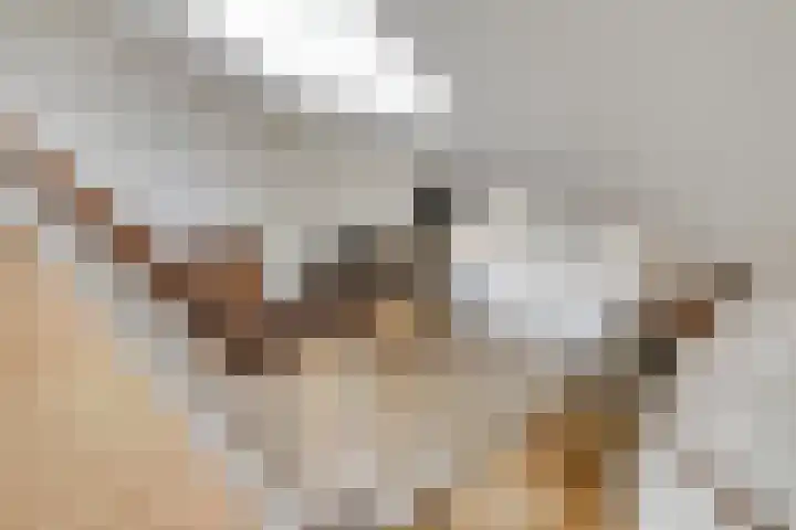 Clovishof 4 Venray thumbnail 5