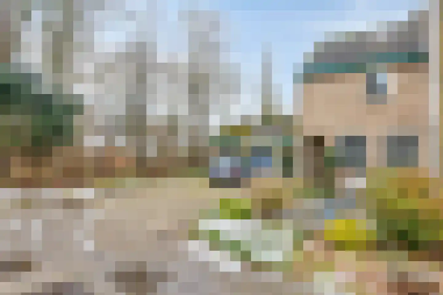 Clovishof 4 Venray thumbnail 6