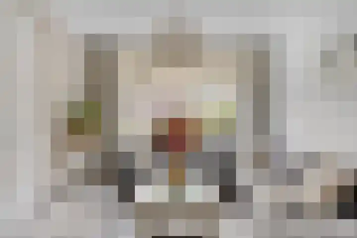 Clovishof 40 Aarle-Rixtel thumbnail 10