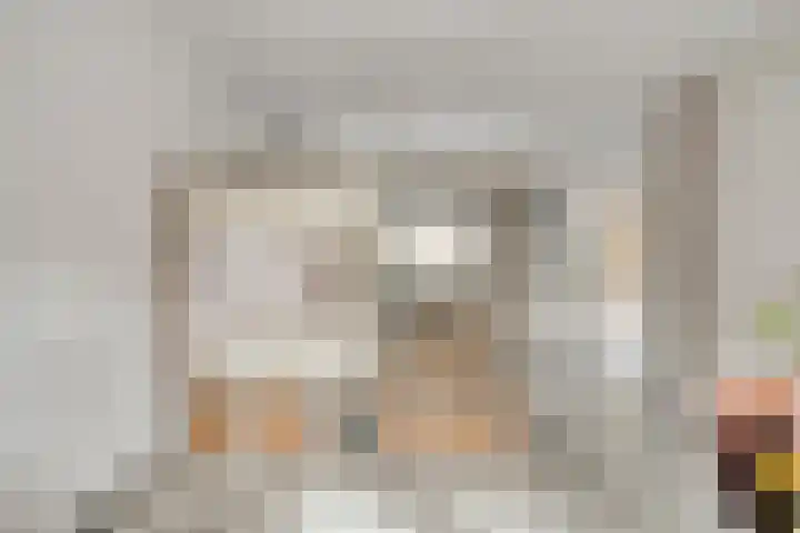 Clovishof 40 Aarle-Rixtel thumbnail 12