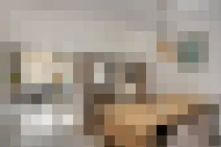 Clovishof 40 Aarle-Rixtel thumbnail 15