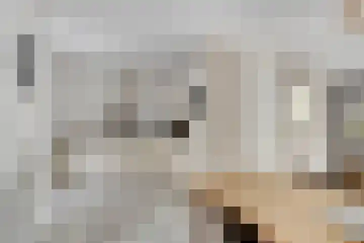 Clovishof 40 Aarle-Rixtel thumbnail 16