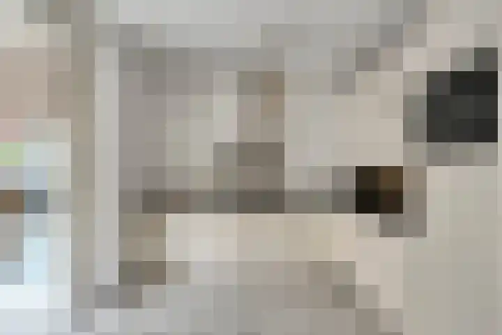 Clovishof 40 Aarle-Rixtel thumbnail 17