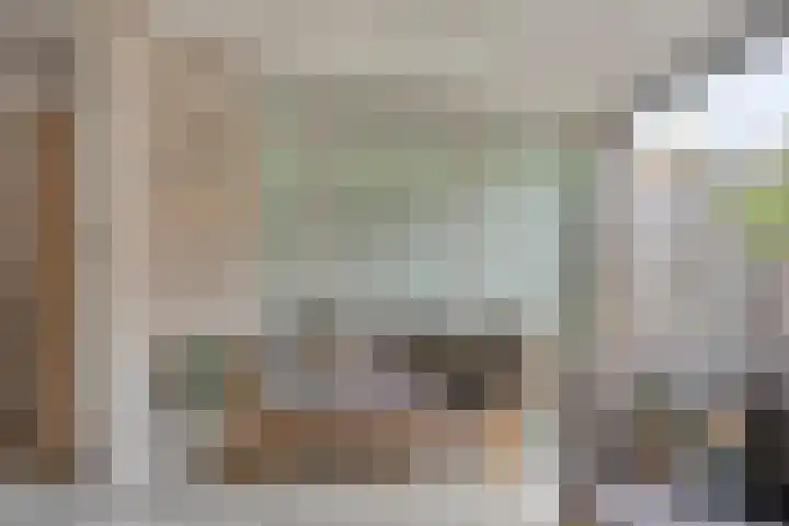 Clovishof 40 Aarle-Rixtel thumbnail 19