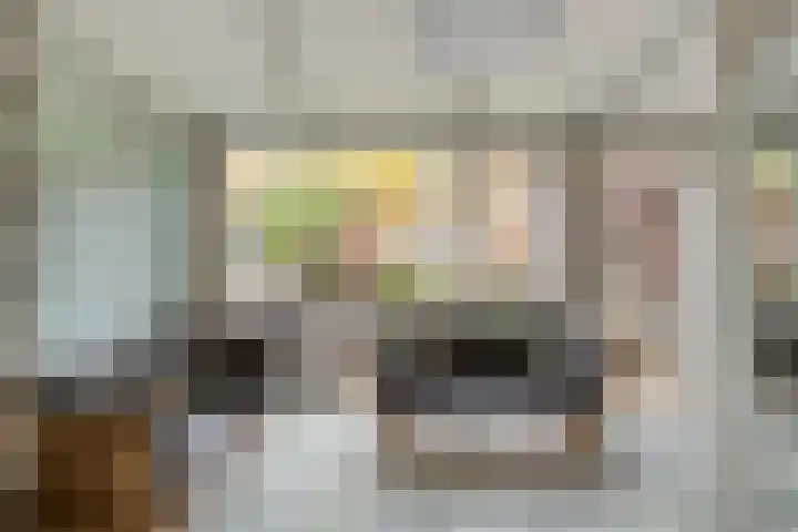 Clovishof 40 Aarle-Rixtel thumbnail 20