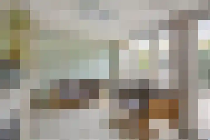 Clovishof 40 Aarle-Rixtel thumbnail 21