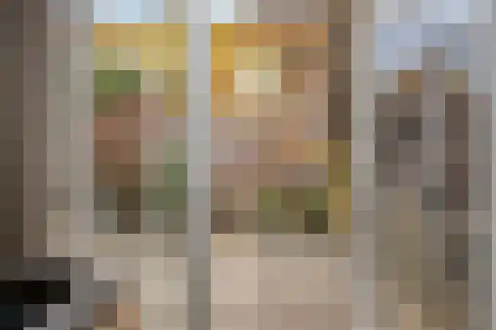 Clovishof 40 Aarle-Rixtel thumbnail 22