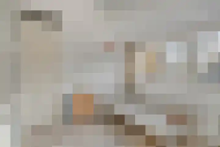 Clovishof 40 Aarle-Rixtel thumbnail 28