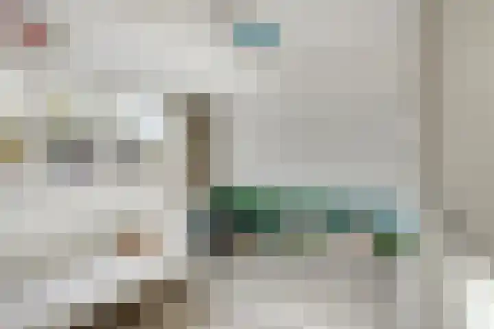 Clovishof 40 Aarle-Rixtel thumbnail 29