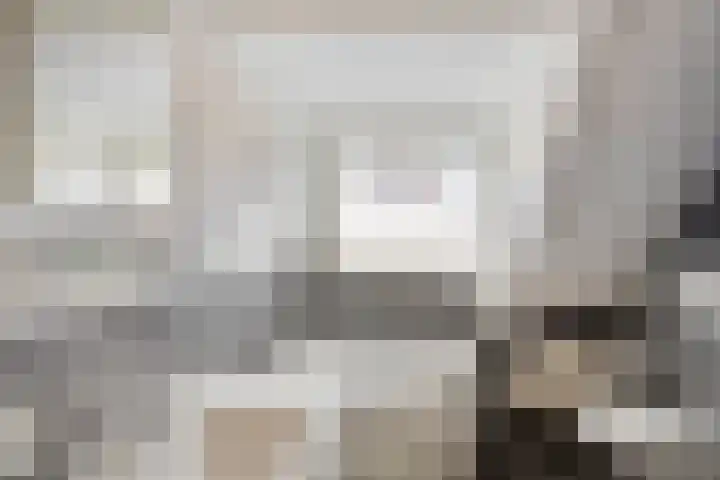 Clovishof 40 Aarle-Rixtel thumbnail 30