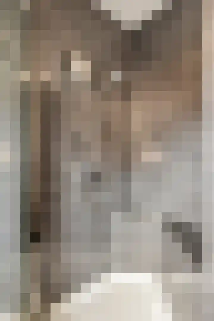 Clovishof 40 Aarle-Rixtel thumbnail 32