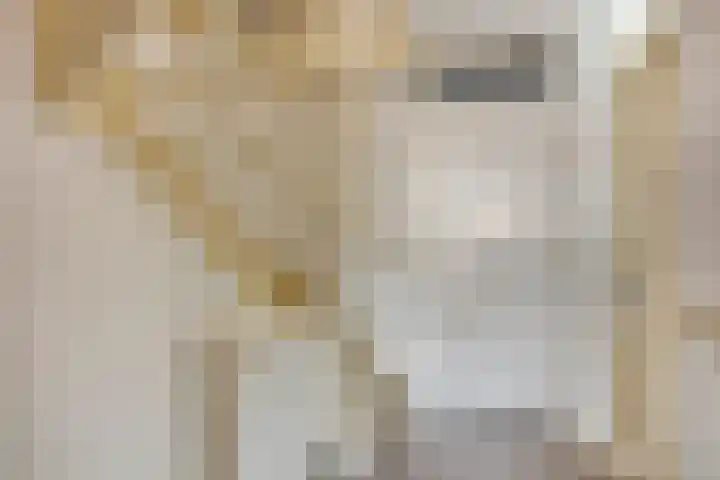 Clovishof 40 Aarle-Rixtel thumbnail 35