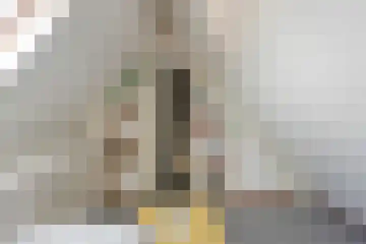 Clovishof 40 Aarle-Rixtel thumbnail 37