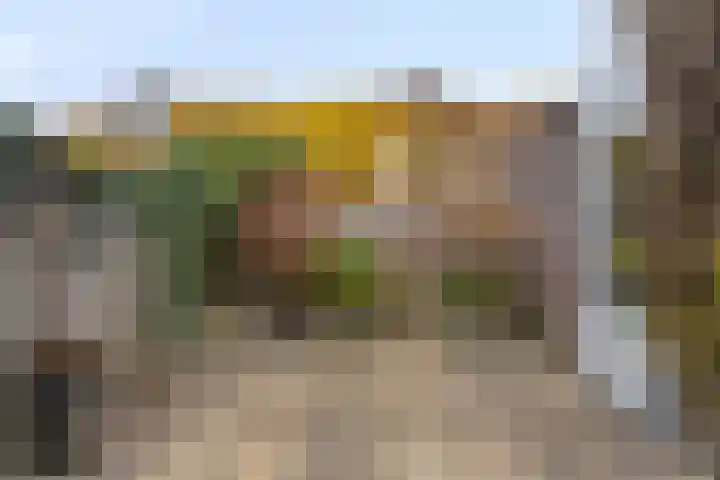 Clovishof 40 Aarle-Rixtel thumbnail 38