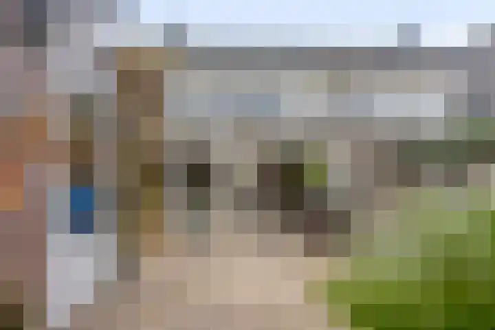 Clovishof 40 Aarle-Rixtel thumbnail 39