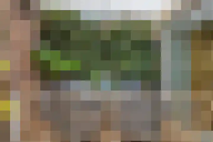 Clovishof 40 Aarle-Rixtel thumbnail 40