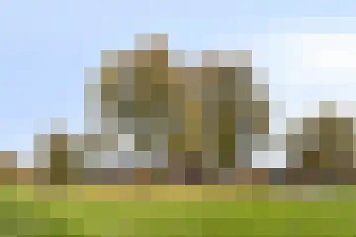 Clovishof 40 Aarle-Rixtel thumbnail 42