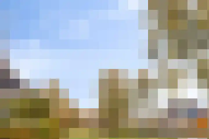 Clovishof 40 Aarle-Rixtel thumbnail 43