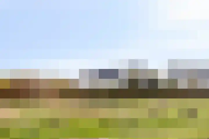 Clovishof 40 Aarle-Rixtel thumbnail 44