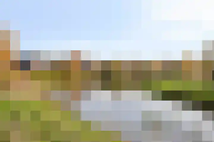 Clovishof 40 Aarle-Rixtel thumbnail 45