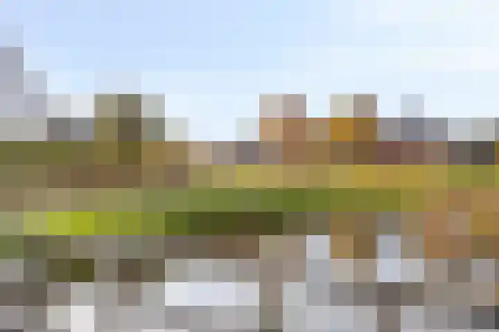 Clovishof 40 Aarle-Rixtel thumbnail 46