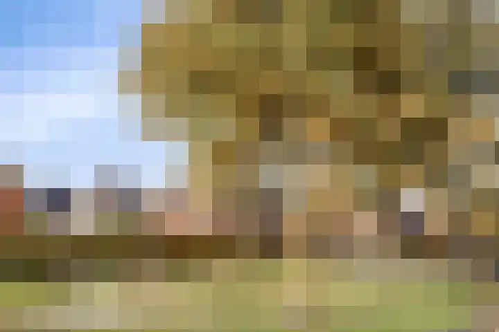 Clovishof 40 Aarle-Rixtel thumbnail 48