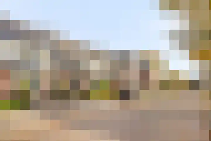Clovishof 40 Aarle-Rixtel thumbnail 6