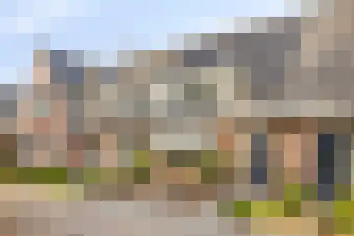 Clovishof 40 Aarle-Rixtel thumbnail 8