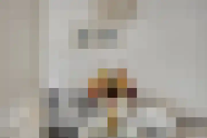 Clovishof 40 Aarle-Rixtel thumbnail 9