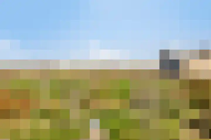 Clovislaan 31 Rijnsburg thumbnail 25