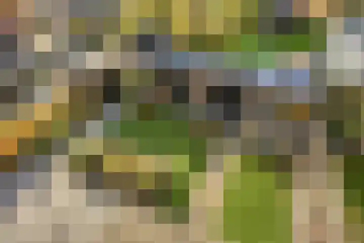 Clovislaan 31 Rijnsburg thumbnail 29