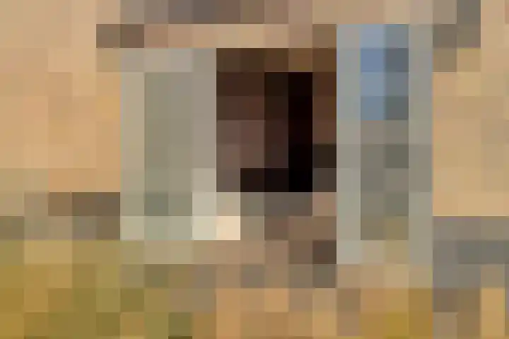 Clovislaan 31 Rijnsburg thumbnail 33