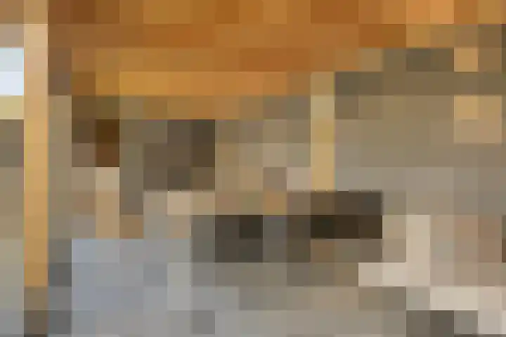 Clovislaan 31 Rijnsburg thumbnail 34