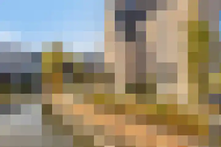 Clovislaan 31 Rijnsburg thumbnail 37