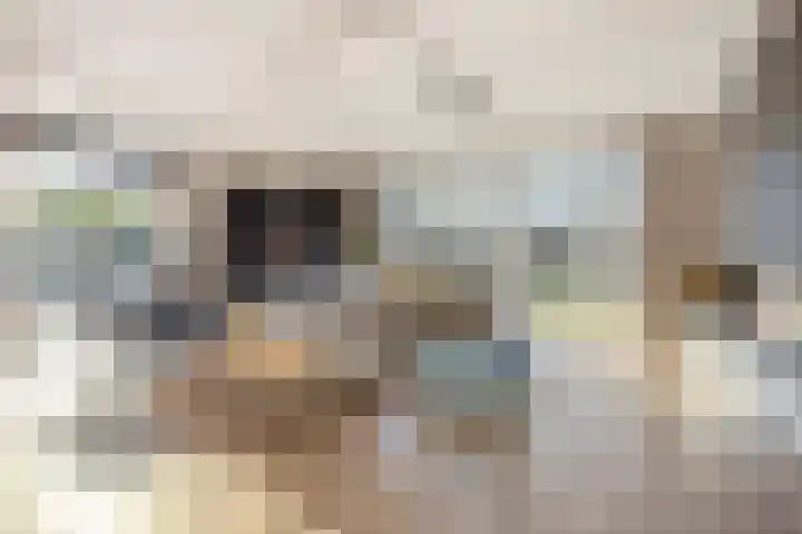 Clovislaan 31 Rijnsburg thumbnail 6