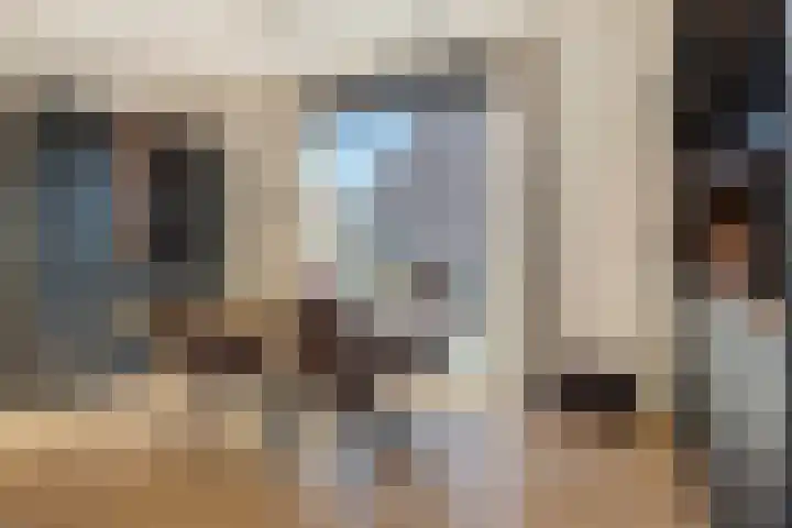 Clovislaan 31 Rijnsburg thumbnail 8