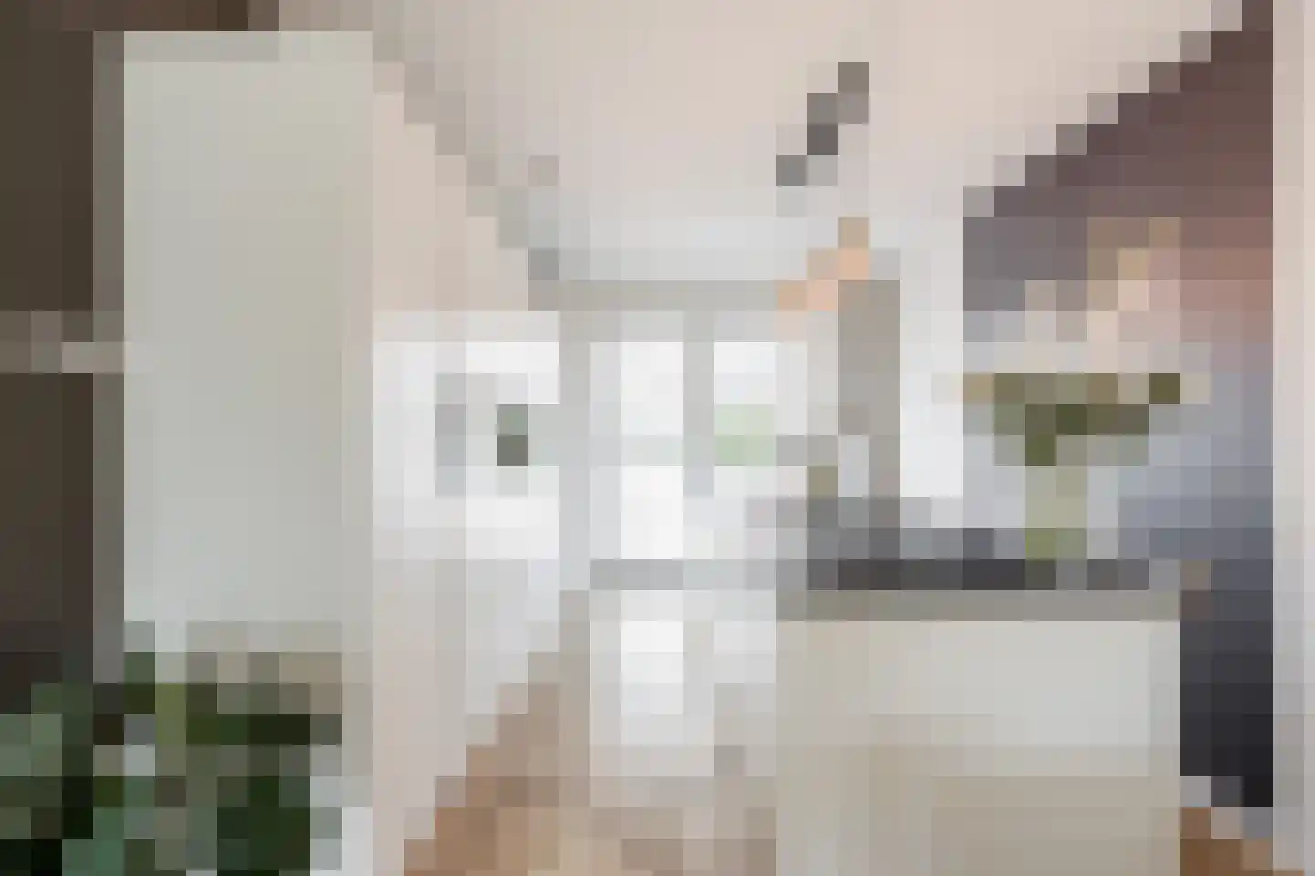 Clovislaan 41 Rijnsburg thumbnail 16