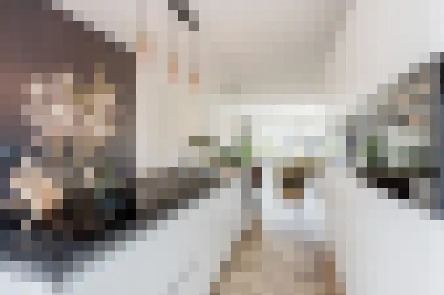 Clovislaan 41 Rijnsburg thumbnail 18
