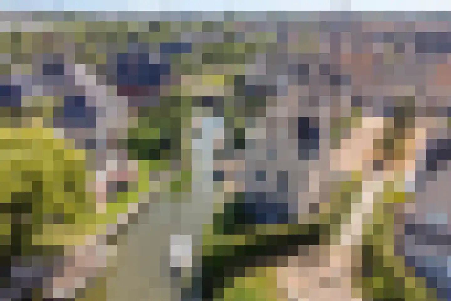 Clovislaan 8 Rijnsburg thumbnail 29