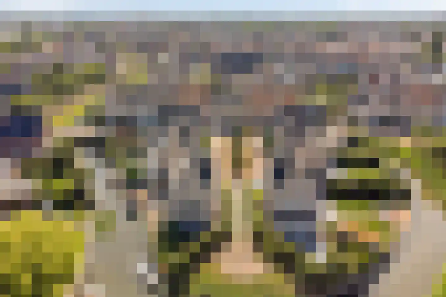 Clovislaan 8 Rijnsburg thumbnail 41