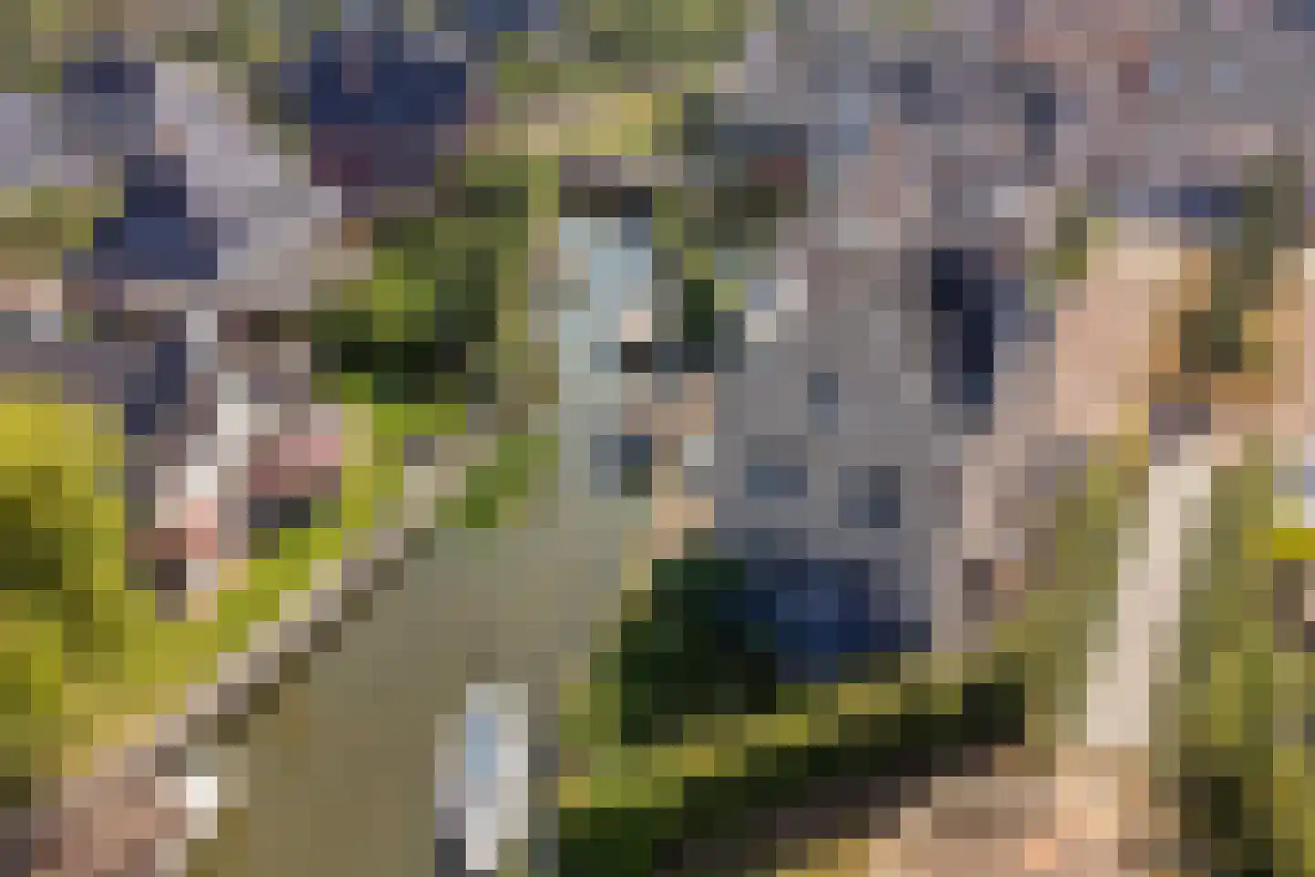 Clovislaan 8 Rijnsburg thumbnail 42