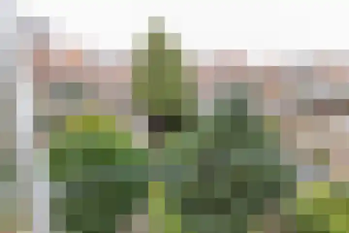 Clovisstraat 23 Haarlem thumbnail 23