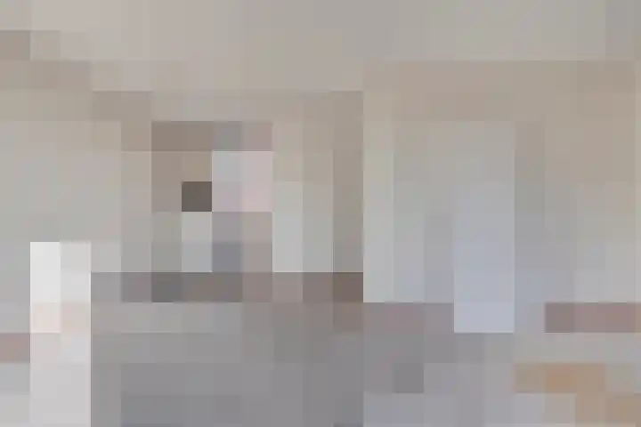 Cluselaan 20 Eindhoven thumbnail 10