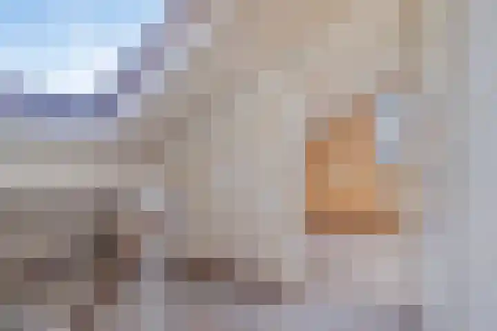 Cluselaan 20 Eindhoven thumbnail 20