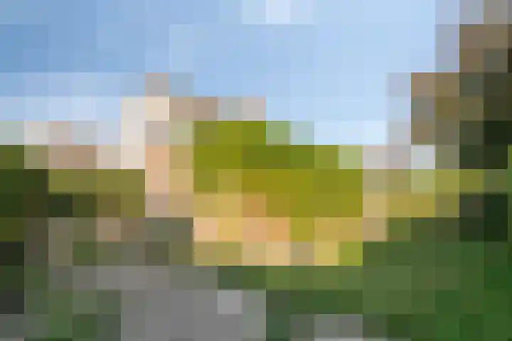 Cluselaan 20 Eindhoven thumbnail 27