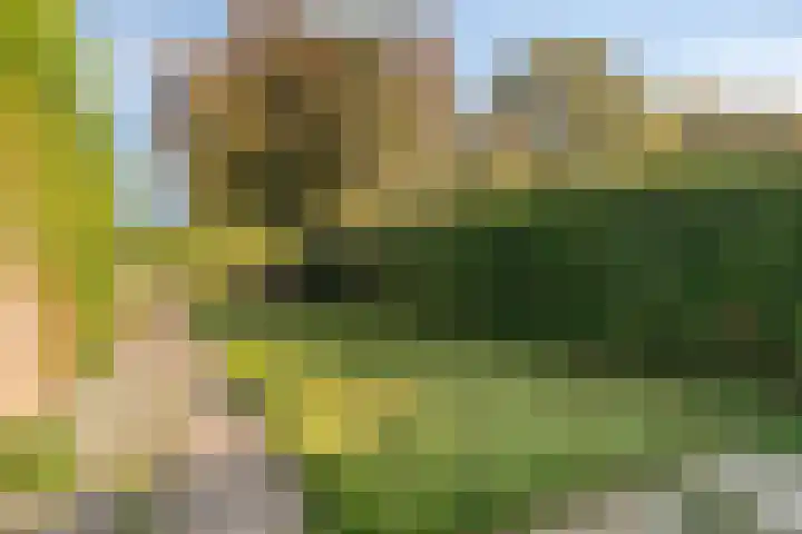 Cluselaan 20 Eindhoven thumbnail 30