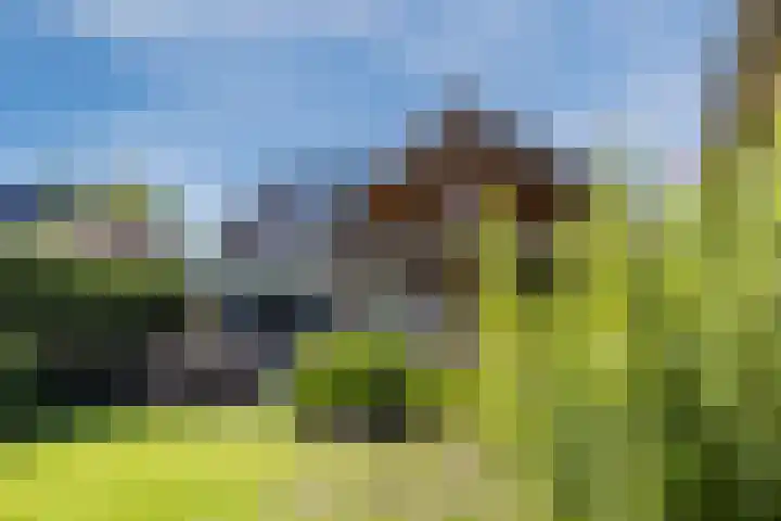 Clusepad 1 Herwen thumbnail 10