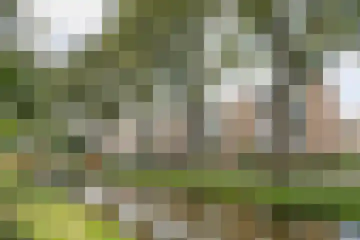 Clusepad 1 Herwen thumbnail 29