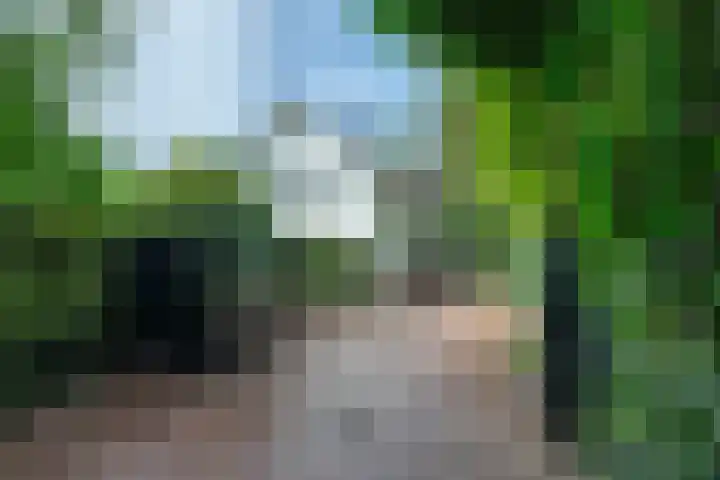 Clusepad 1 Herwen thumbnail 34