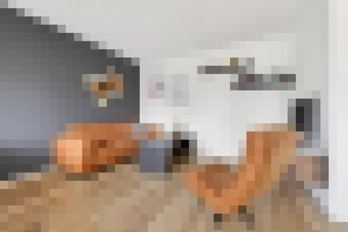 Clusiuserf 1 Boskoop thumbnail 11